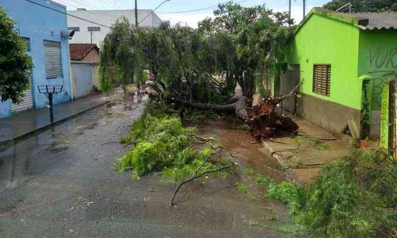 Chuvas causam destruio em Araguari, no Tringulo(foto: CBMG/Divulgao )