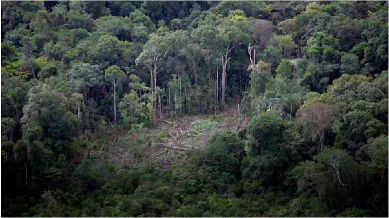 Desmatamento na Amaznia
