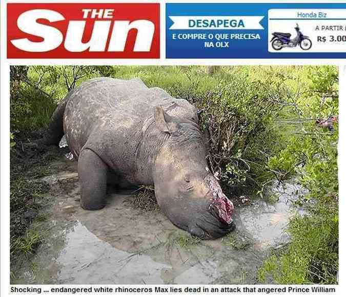 O rinoceronte Max morreu com 17 tiros e teve seu chifre cortado por caadores(foto: Reproduo internet / The Sun)