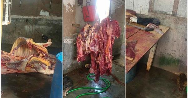 Suposto abatedouro clandestino e insalubre é interditado em Bicas - Vimarsana News