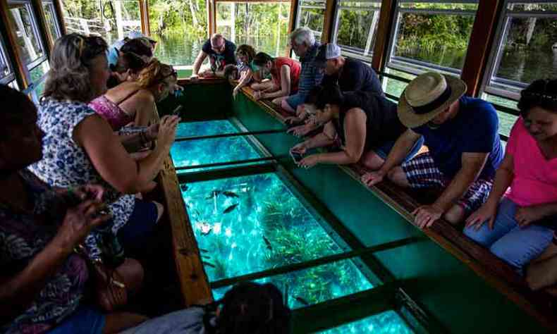  No tour pelo Silver Springs State Park, visitantes se divertem com os peixes no passeio em barco com piso de vidro(foto: Patrick Connolly/Orlando Sentinel)