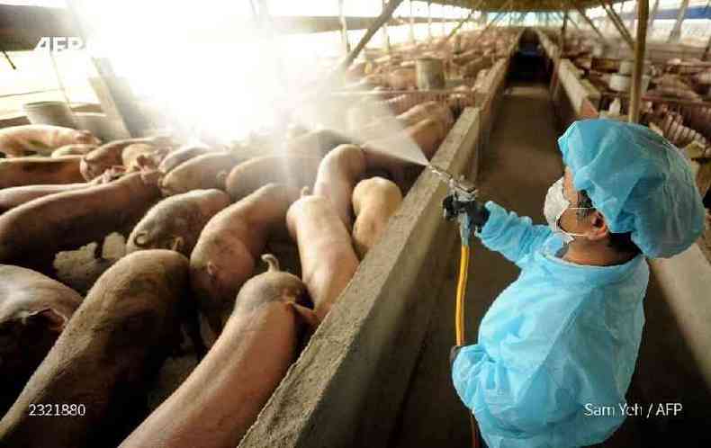 Funcionrio do governo de Taiwan desinfeta uma fazenda de porcos em 27 de abril de 2009