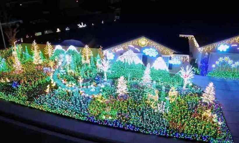 Show natalino: mulher usa 80 mil lâmpadas para enfeitar sua casa; veja -  Internacional - Estado de Minas