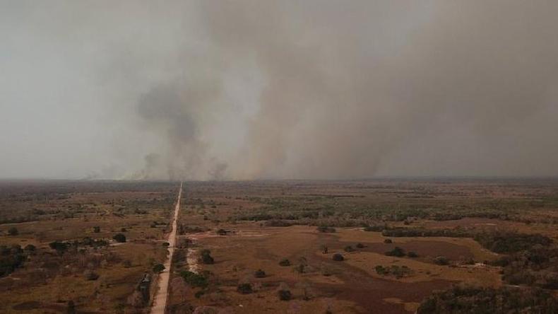 Incndio no Cerrado, em foto de 2020; focos de incndio tm aumentado neste ano(foto: Reuters)