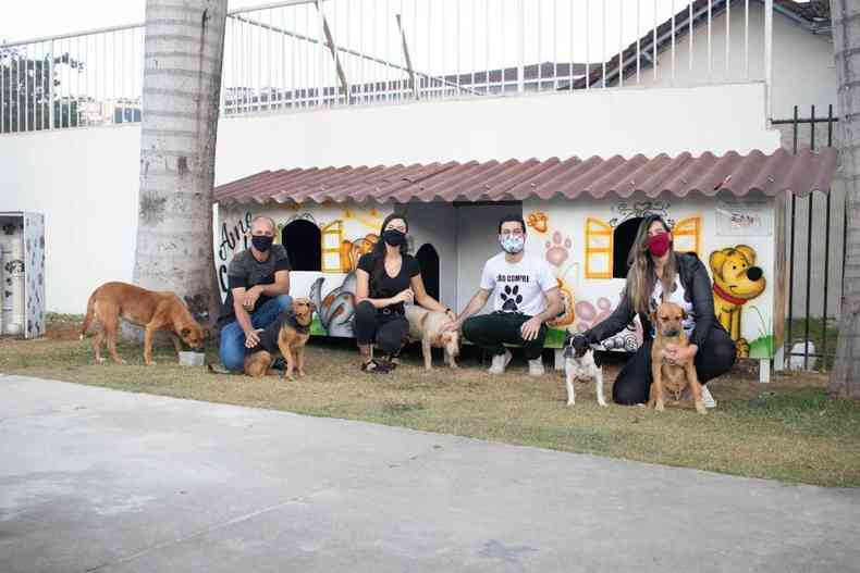 Adoção comunitária garante bem-estar de pets de rua