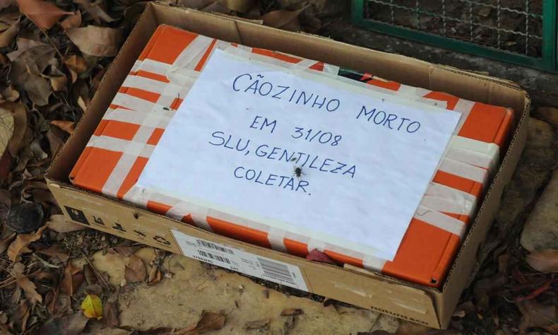 Uma mensagem, com a data da morte do cao, apela para coleta da caixa pela SLU