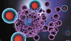 Imunoterapia e farmacologia: preciso no combate ao cncer