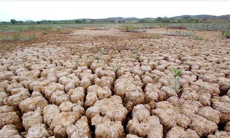 Efeitos dos períodos de estiagem mais prolongados são pesquisados pela estatal de pesquisa agropecuária(foto: Solon Queiroz - Esp. EM/D.A Press 29/10/15) Efeitos dos períodos de estiagem mais prolongados são pesquisados pela estatal de pesquisa agropecuária(foto: Solon Queiroz - Esp. EM/D.A Press 29/10/15)