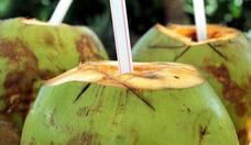 Saiba os motivos para apostar na gua de coco