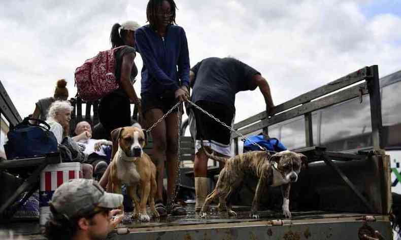 Pelo menos cinco pessoas morreram em decorrncia do furaco nos estados da Louisiana e Mississippi(foto: Patrick T. Fallon/AFP)