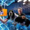 Com o cão Anselmo na bancada, podcast faz sucesso em canal do SBT