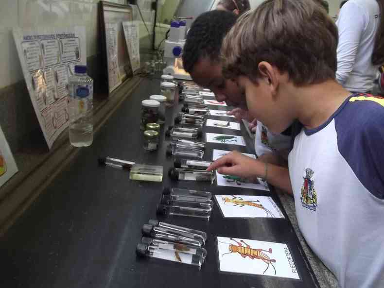 Alunos da rede municipal de ensino de Ouro Branco analisam seres vivos encontrados no crrego Povoado Castiliano(foto: Gerdau/Divulgao)