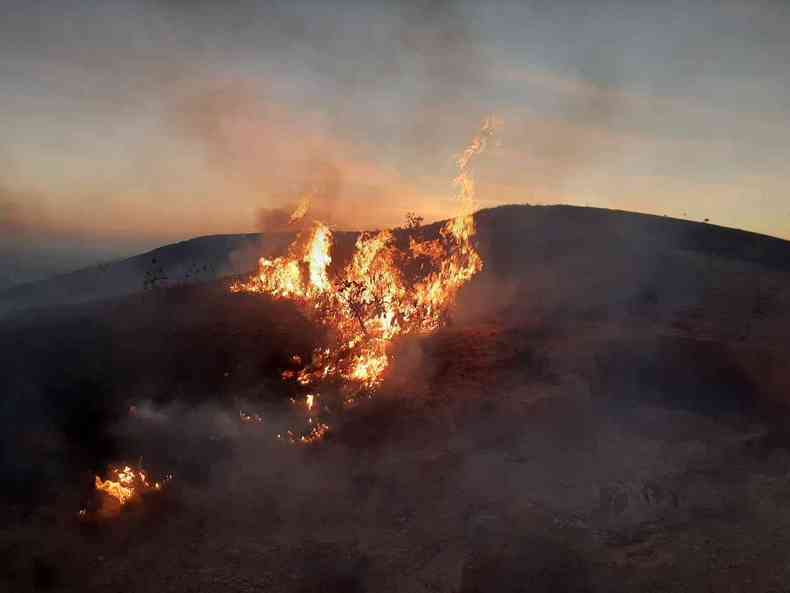 Ocorrncias de incndios florestais aumentaram 15,8% em relao ao mesmo perodo em 2020