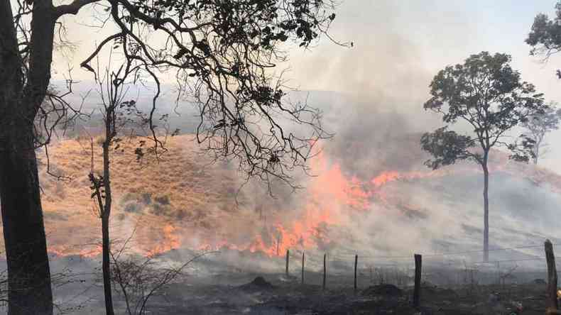 O fogo avana pelas pastagens e atinge as reas de mata fechada(foto: Divulgao (Corpo de Bombeiros/CBMMG))