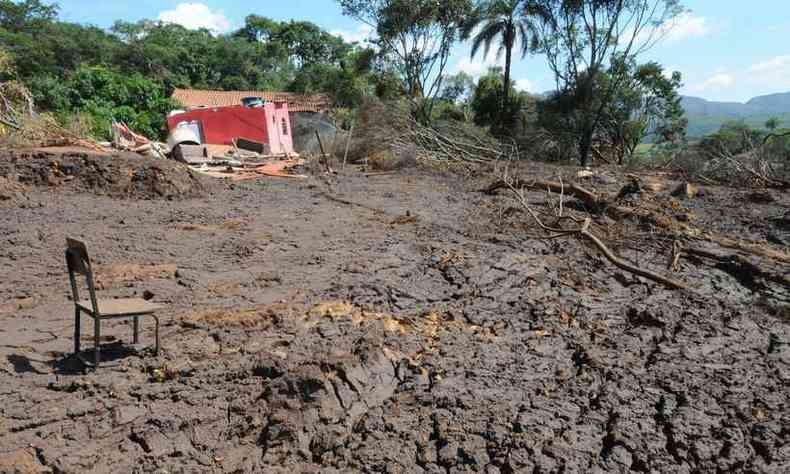 Vinte dias depois do rompimento da barragem, lama se solidificou e produz cenrio de pavimentao na rea devastada de Brumadinho(foto: Paulo Filgueiras/EM/D.A PRESS)
