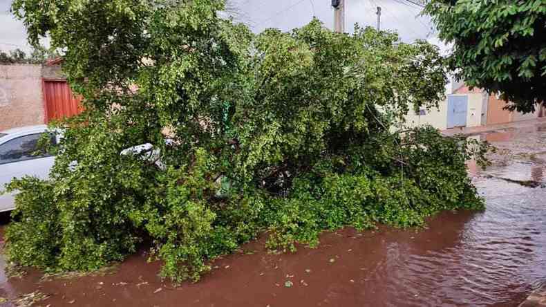 Alagamento na cidade de Frutal, no Tringulo Mineiro