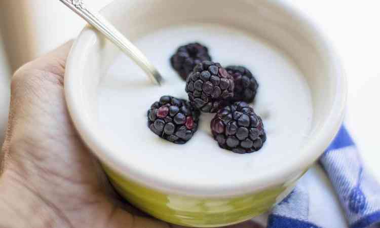 iogurte com amora