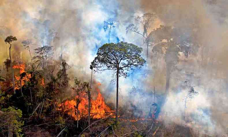 O Brasil tem o maior índice de focos de queimadas para o período de janeiro a setembro dos últimos 10 anos(foto: CARL DE SOUZA/AFP)