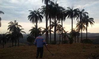 Pesquisador usa detector de metal no Mascarenhas, lugarejo onde o fazendeiro portugu�s Jo�o Lopes enterrou sua fortuna, segundo a tradi��o(foto: Paulo Henrique Lobato/EM/DA)