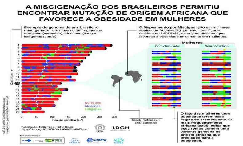 Esquema elaborado pelo grupo de pesquisa exemplifica a miscigenao do genoma brasileiro(foto: UFMG/Divulgao)