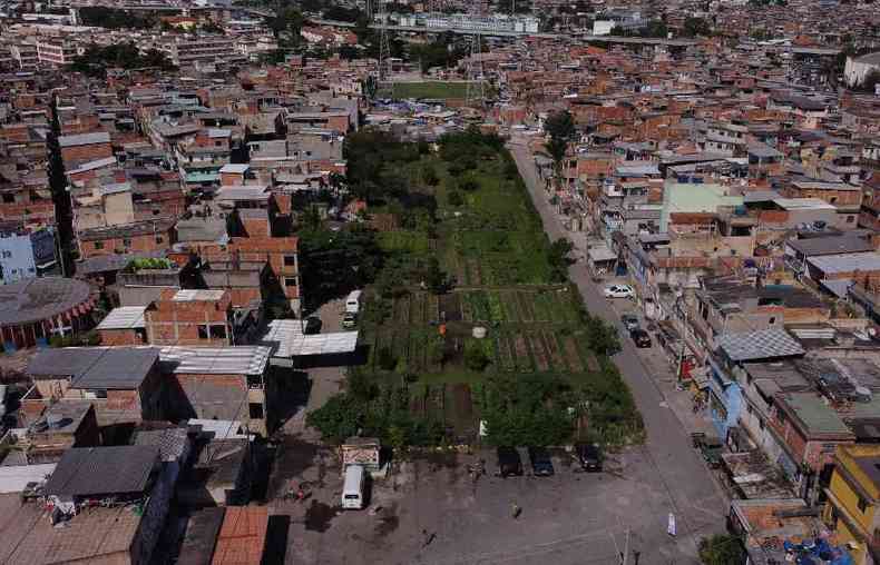 Horta orgnica em favela do Rio