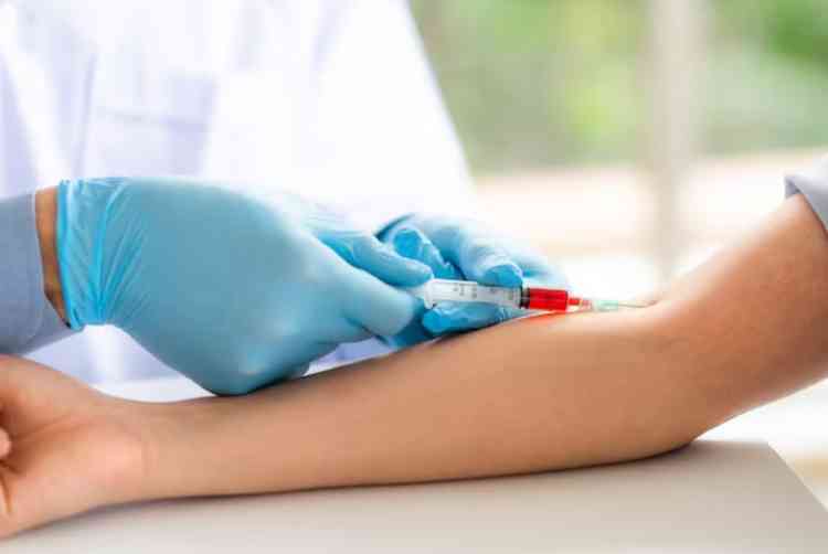 Exames de sangue so ferramentas importantes para avaliar a sade do organismo