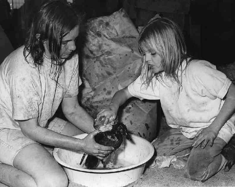 Voluntrios limpando um pato, vtima do acidente de janeiro de 1971 