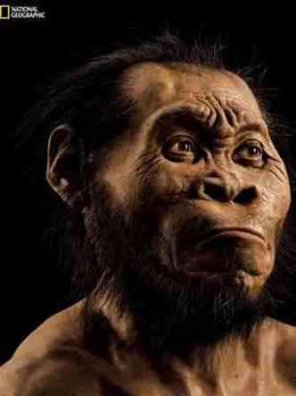 Revista fez a reconstruo de como seria o Homo Naledi(foto: National Geographic)