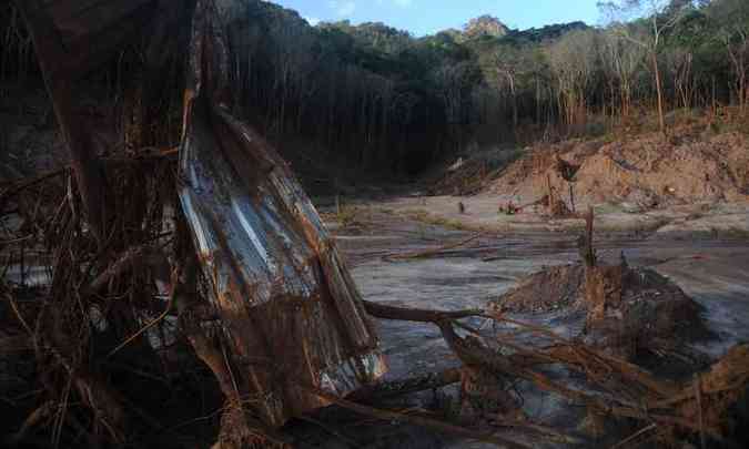 Mata ciliar devastada no leito do Rio Gualaxo do Norte, em Bento Rodrigues, distrito arrasado de Mariana(foto: Leandro Couri/EM/D.A PRESS)