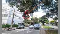 Vídeo: 'Homem-Aranha' é flagrado fazendo acrobacias em árvore da Savassi