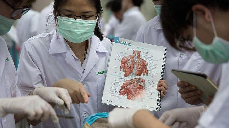 Estudantes de medicina analisam cadver ao centro (que no aparece em detalhes na foto)