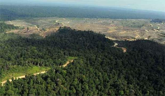 Relat�rio do IPCC divulgado neste domingo alerta para o n�vel acelerado das mudan�as clim�ticas no planeta(foto: AFP PHOTO / ROMEO GACAD )