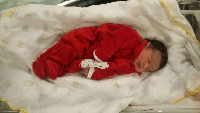 Também nasceu nesta madrugada de 1° de janeiro a menina Maria Júlia(foto: Edésio Ferreira/EM/D.A press) Também nasceu nesta madrugada de 1° de janeiro a menina Maria Júlia(foto: Edésio Ferreira/EM/D.A press)
