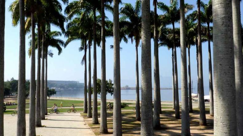 Os jardins projetados por Burle Marx para o Museu de Arte Moderna (MAM), no Rio de Janeiro (foto: Camisa Listrada/Atelier de Cinema/divulgação) Os jardins projetados por Burle Marx para o Museu de Arte Moderna (MAM), no Rio de Janeiro (foto: Camisa Listrada/Atelier de Cinema/divulgação)