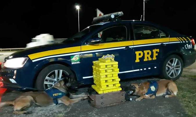 Cães encontraram droga em mala de morador de Ipatinga que ganharia R$ 1 mil por transporte(foto: Polícia Rodoviária Federal/Divulgação) Cães encontraram droga em mala de morador de Ipatinga que ganharia R$ 1 mil por transporte(foto: Polícia Rodoviária Federal/Divulgação)