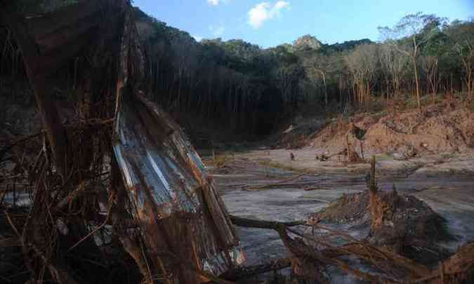 Levantamento mostra que em Minas a principal causa da perda de florestas  a atividade de minerao(foto: Leandro Couri/EM/D.A Press )