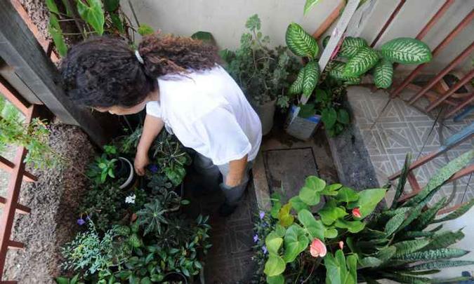 Mesmo com o tempo frio e seco, cuidados devem ser tomados para evitar água parada dentro das casas e evitar a proliferação do mosquito(foto: Leandro Couri/EM/D.A Press) Mesmo com o tempo frio e seco, cuidados devem ser tomados para evitar água parada dentro das casas e evitar a proliferação do mosquito(foto: Leandro Couri/EM/D.A Press)