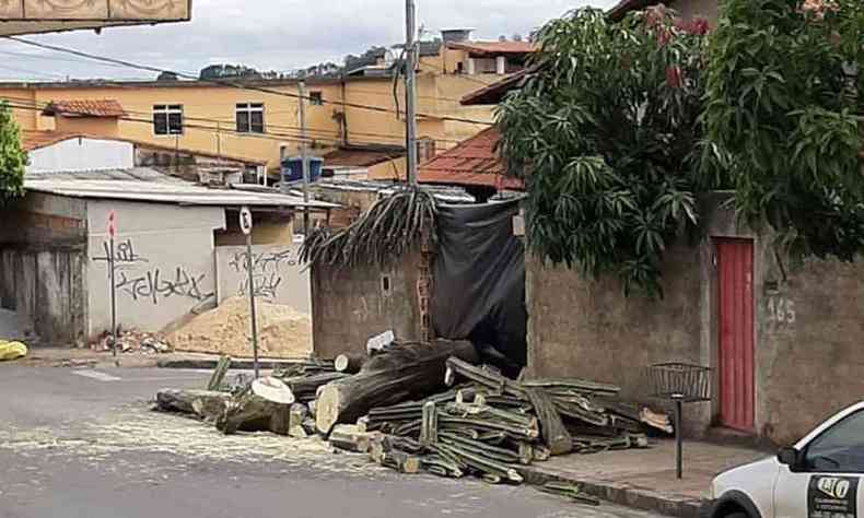 Nesta manh, galhos estavam na calada(foto: Reproduo da internet/WhatsApp)