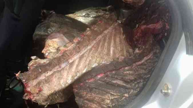 PRF prende 25 pessoas por furtarem peas de carne em Trs MariasDivulgao/PRF