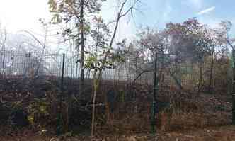 As chamas destruram uma grande rea de vegetao(foto: Corpo de Bombeiros/Divulgao)