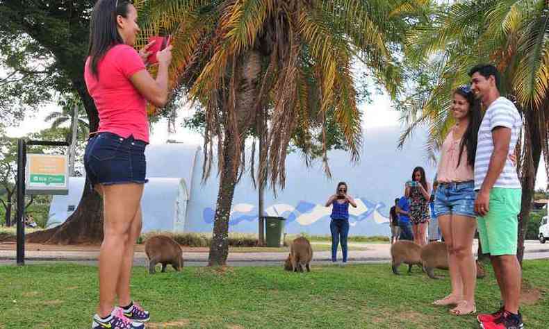 Mamferos se tornaram atrao e so disputados por visitantes para tirar fotos(foto: Ramon Lisboa/EM/D.A PRESS)