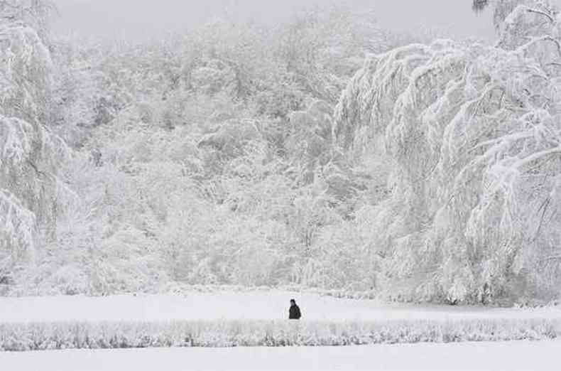 (foto: REUTERS/Eduard Korniyenko )