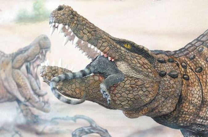 O animal seria um predador carnvoro (com dentes serrilhados e focinho alto e comprido), semiaqutico, gil, com aproximadamente 2m de comprimento(foto: MARCOS DE PAULA/ESTADO)