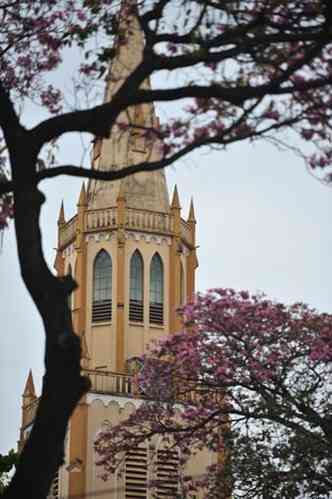 Detalhe de ip com a Igreja Nossa Senhora das Dores, na Floresta, ao fundo: florao  uma das atraes de BH(foto: Alexandre Guzanshe/EM/DA Press)