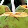 Saiba os motivos para apostar na água de coco