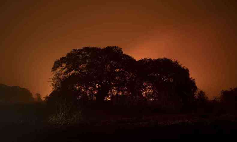 (foto: Brilho vermelho em noite estrelada ilumina o cu do Pantanal durante incndio)
