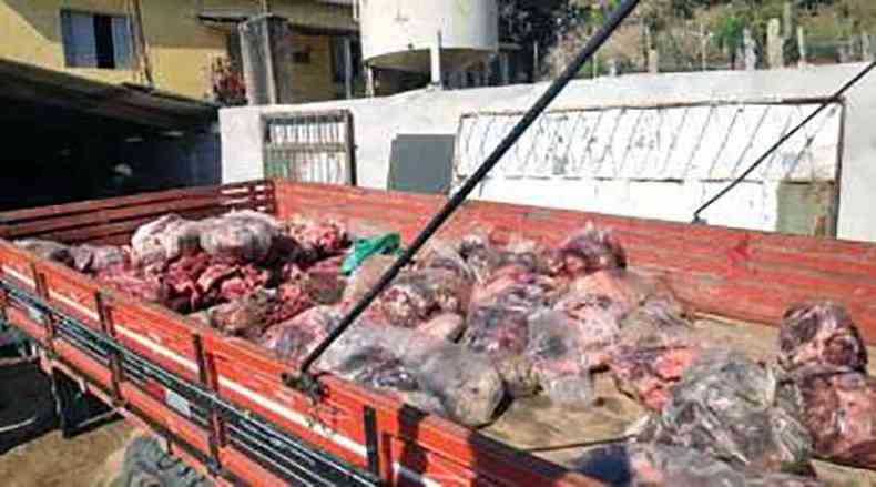 Uma tonelada de carne imprópria pronta para abastecer açougues clandestinos foi apreendida(foto: PCMG)