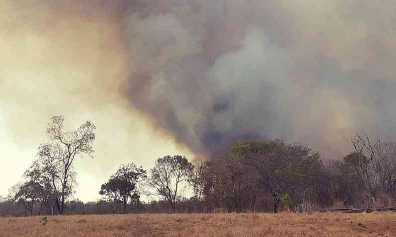 O fogo, alm de destruir a reserva natural de matas, est provocando o fechamento de estradas
