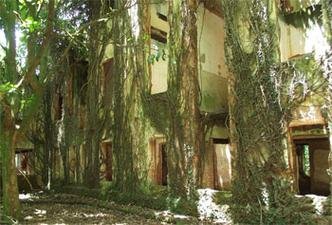 (foto: Diogo Meira/EM/D.A Press )