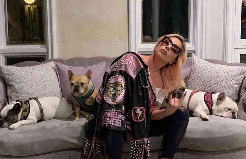 Lady Gaga está sentada num sofá, de óculos escuros, rodeada por três buldogues franceses 
